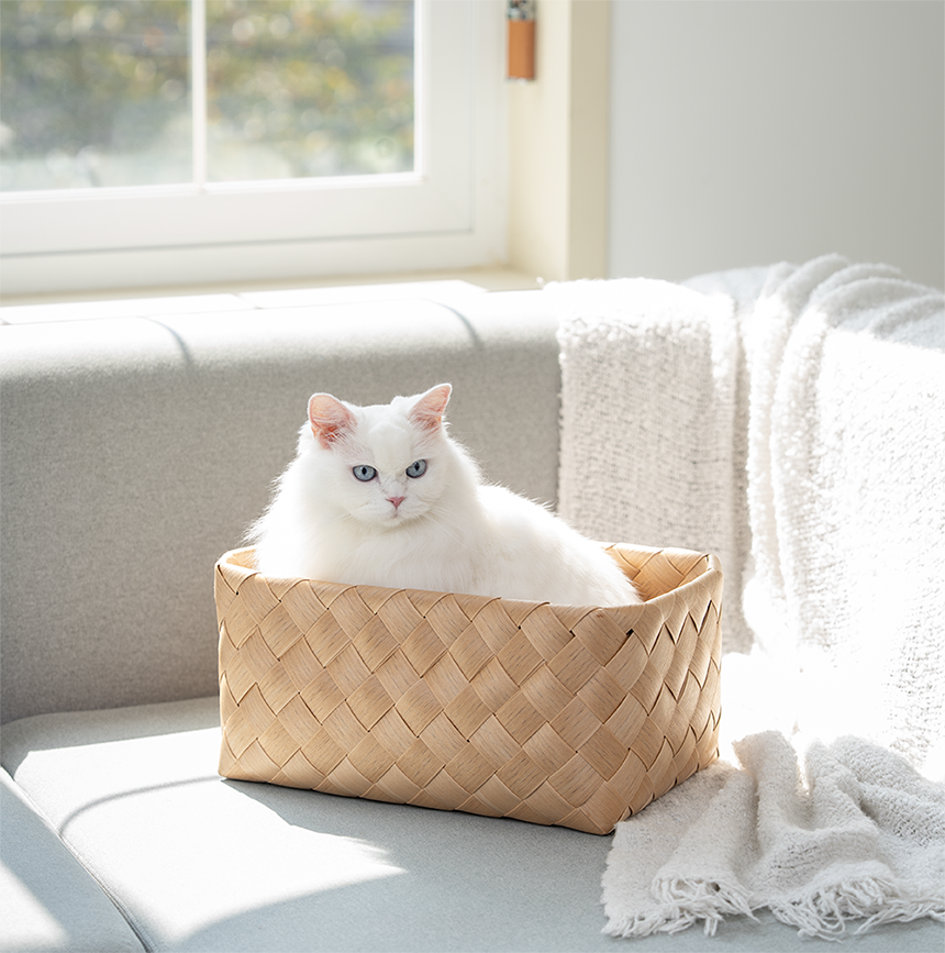 [NEW신상][무료배송] 큐빅스펫 워셔블 바스켓 숨숨집 2color 29번째