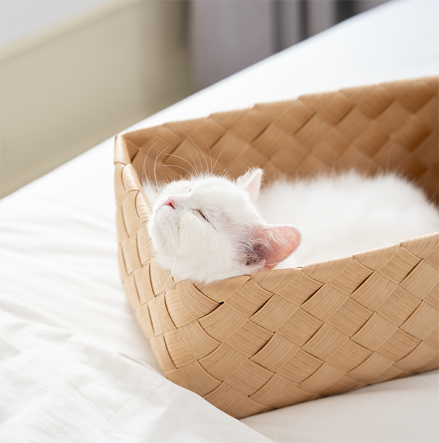 [NEW신상][무료배송] 큐빅스펫 워셔블 바스켓 숨숨집 2color 31번째