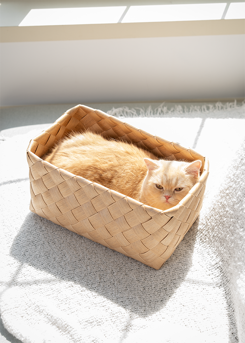 [NEW신상][무료배송] 큐빅스펫 워셔블 바스켓 숨숨집 2color 16번째