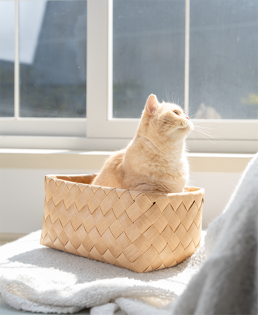 [NEW신상][무료배송] 큐빅스펫 워셔블 바스켓 숨숨집 2color 15번째