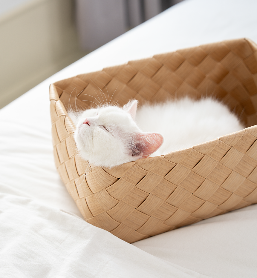 [NEW신상][무료배송] 큐빅스펫 워셔블 바스켓 숨숨집 2color 10번째