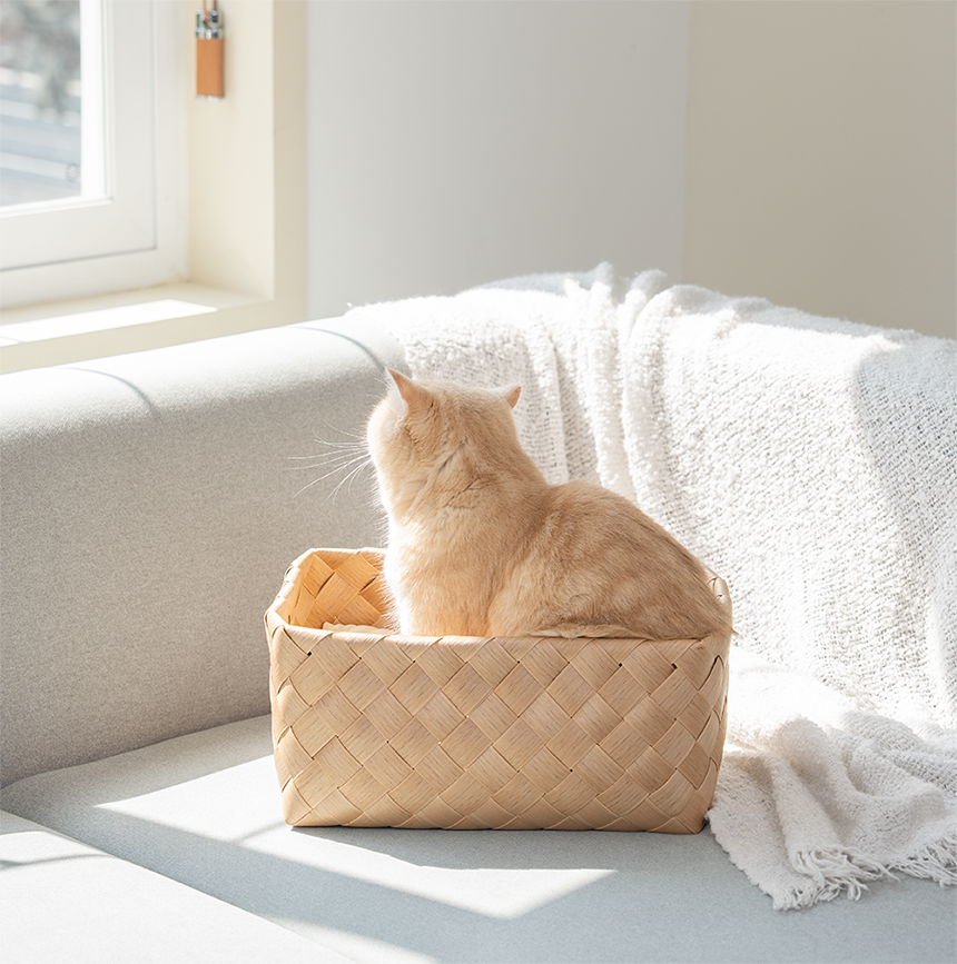 [NEW신상][무료배송] 큐빅스펫 워셔블 바스켓 숨숨집 2color 30번째