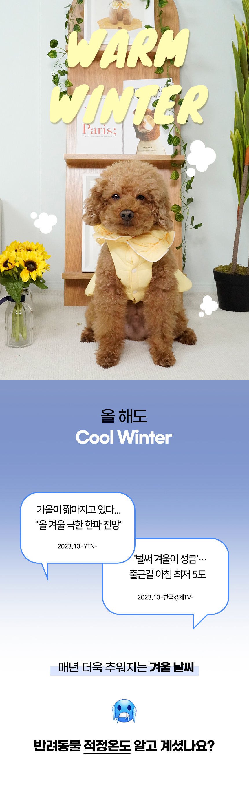 [NEW신상][무료배송] 개과천선 솜사탕 패딩 (노랑/시안/민트) 1번째