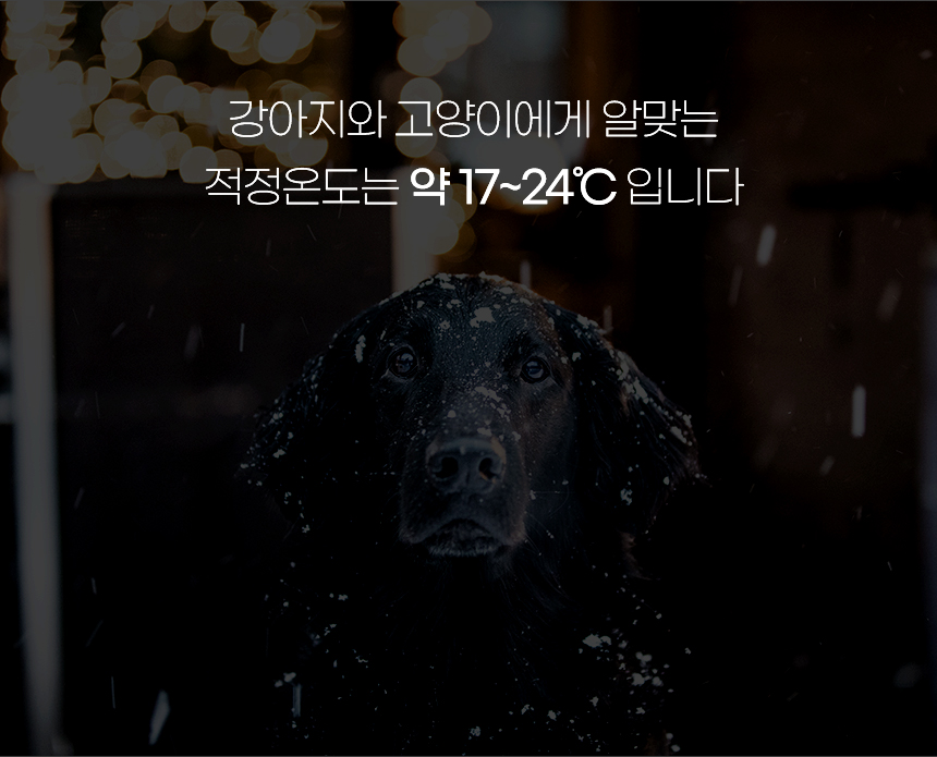 [NEW신상][무료배송] 개과천선 솜사탕 패딩 (노랑/시안/민트) 2번째