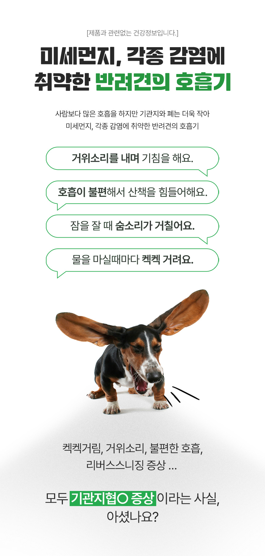 [무료배송] 댕이수랏간 침향 기관지청청 100g 7번째