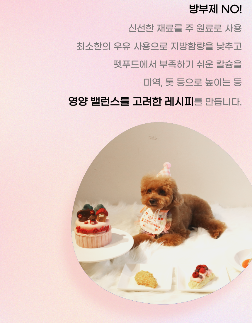 [무료배송] 견우재 강아지 타르트 5종 14번째