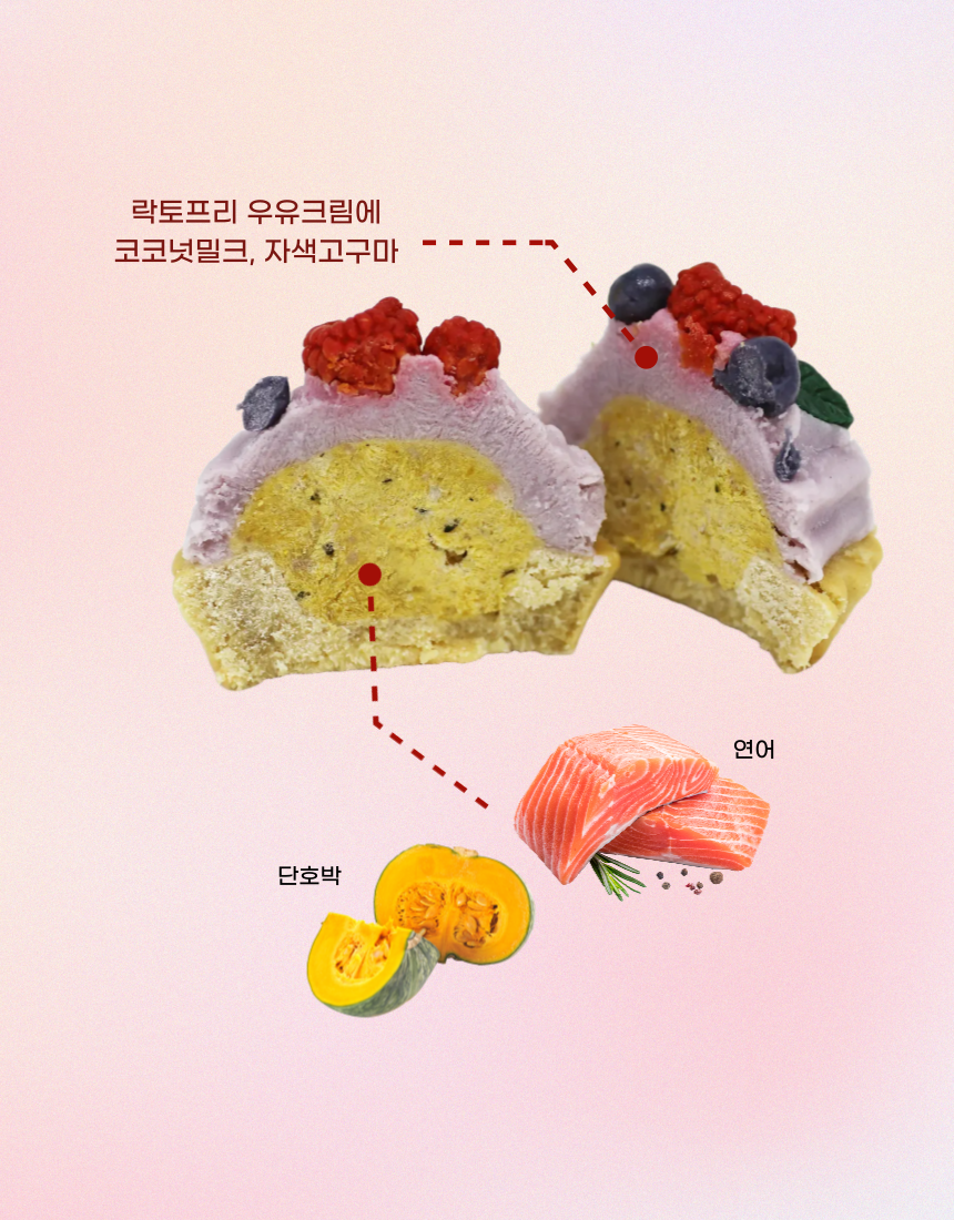 [무료배송] 견우재 강아지 타르트 5종 9번째