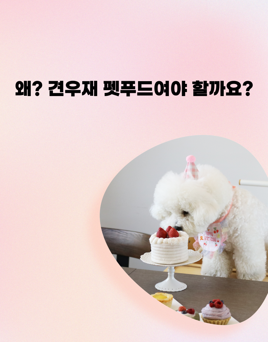 [무료배송] 견우재 강아지 타르트 5종 12번째