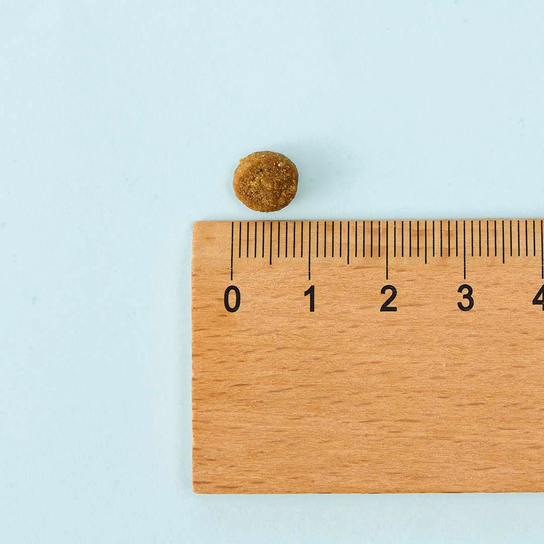 [사료샘플] 내추럴발란스 캣 오리지날 울트라 닭&연어 40g 3번