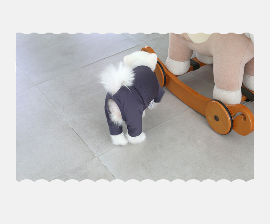 [무료배송] 초코펫하우스 산책왕 보온 무스탕 하네스 19번째