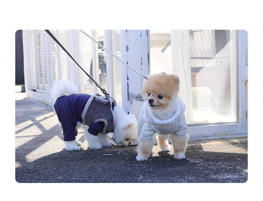[무료배송] 초코펫하우스 산책왕 가슴줄 겨울옷 보온 무스탕 하네스 7번째