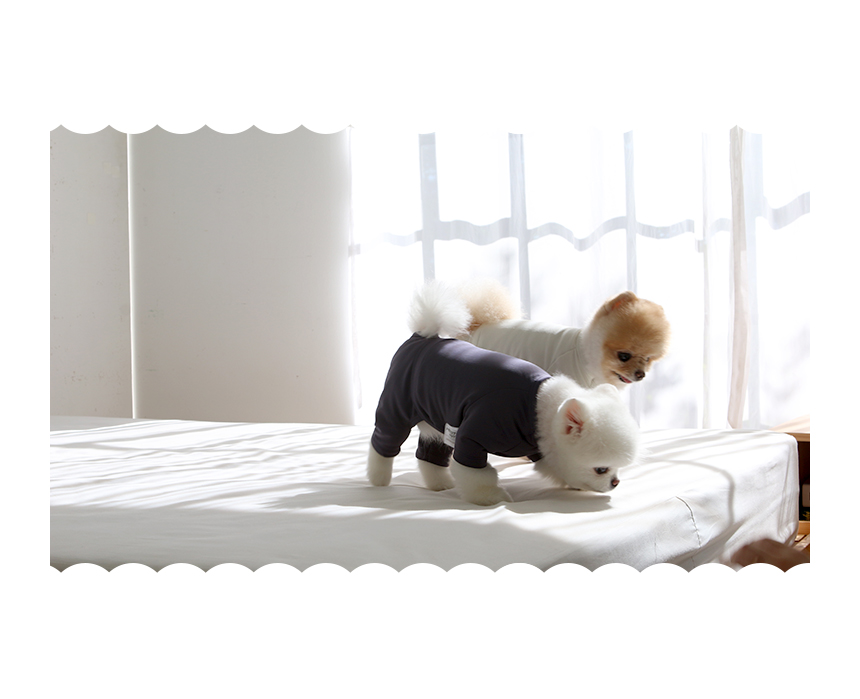 [무료배송] 초코펫하우스 산책왕 보온 무스탕 하네스 23번째