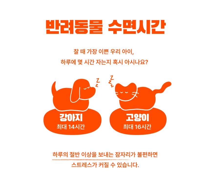 [무료배송] 차즈마켓 허그쿠션 화이트 2번째