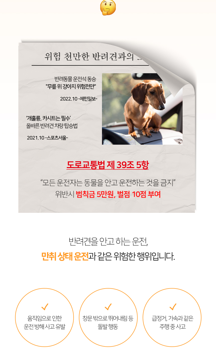 [NEW신상][무료배송] 개과천선 독 펠트박스 카시트 (샌드 블루/블루 오트) 2번째
