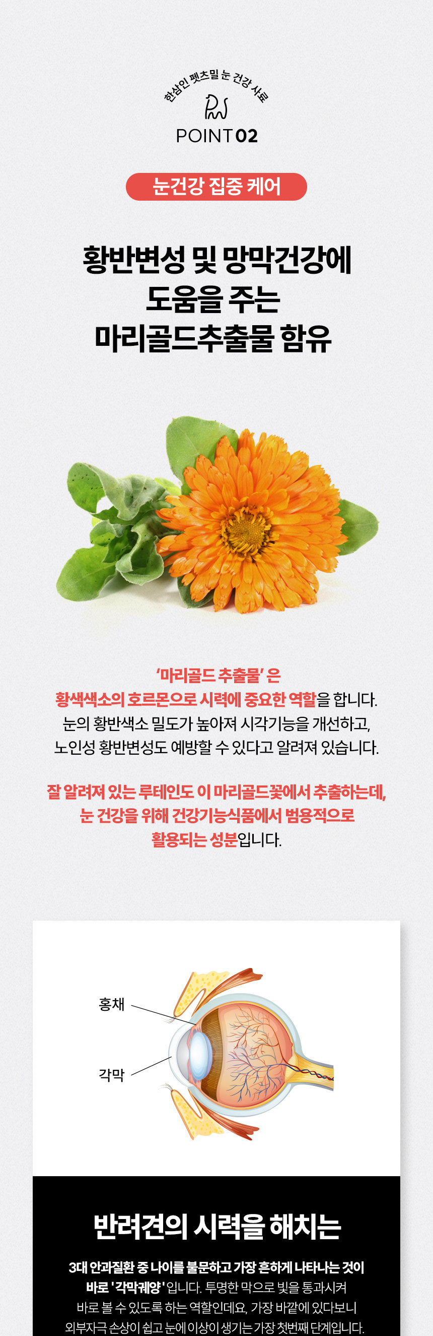 [NEW신상][무료배송] 한삼인 독 펫츠밀 눈건강 사료 1kg 5번째