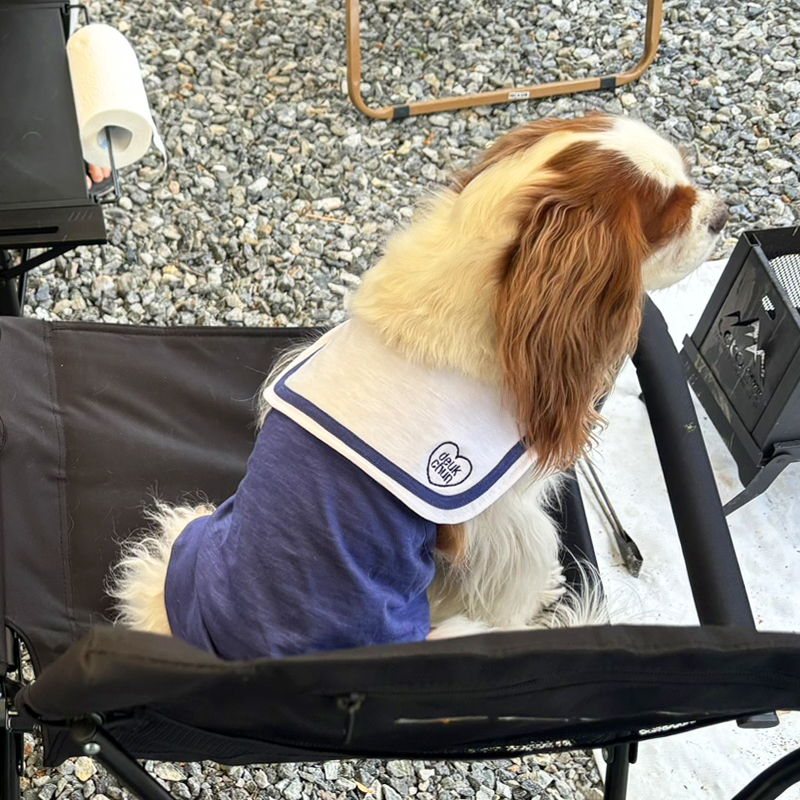 [무료배송] 해피댕댕 세일러홀터넥나시 S - 2XL 16번째