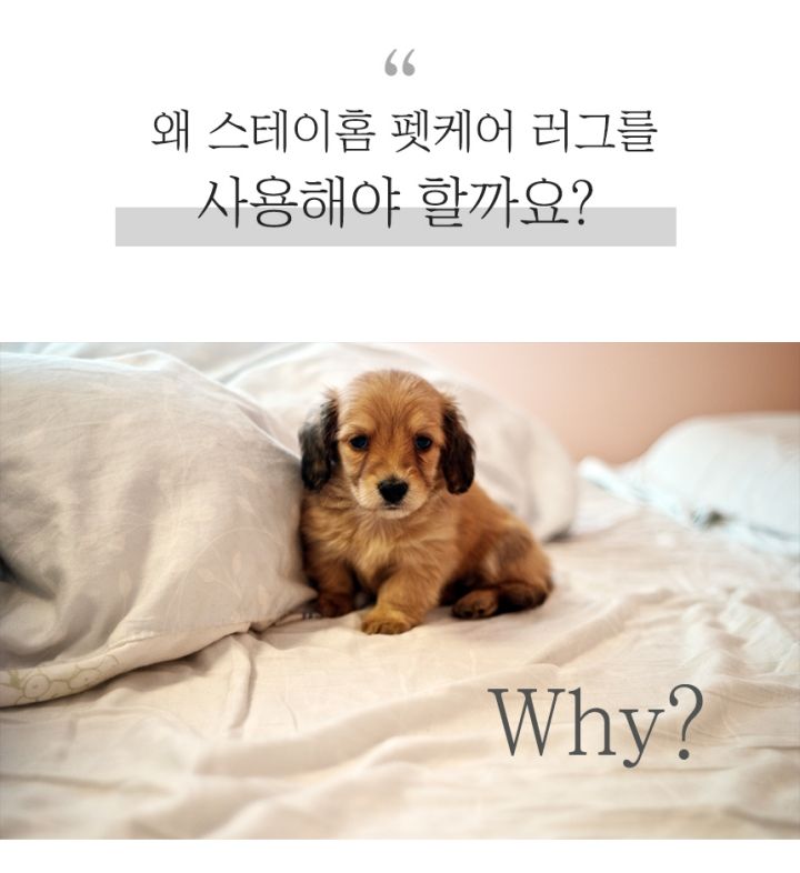 [무료배송] 스테이홈 사계절 워셔블 러그 크림/베이지/그레이 6번째