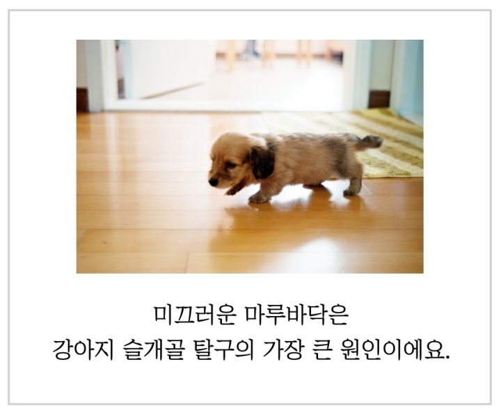 [무료배송] 스테이홈 사계절 워셔블 러그 크림/베이지/그레이 3번째