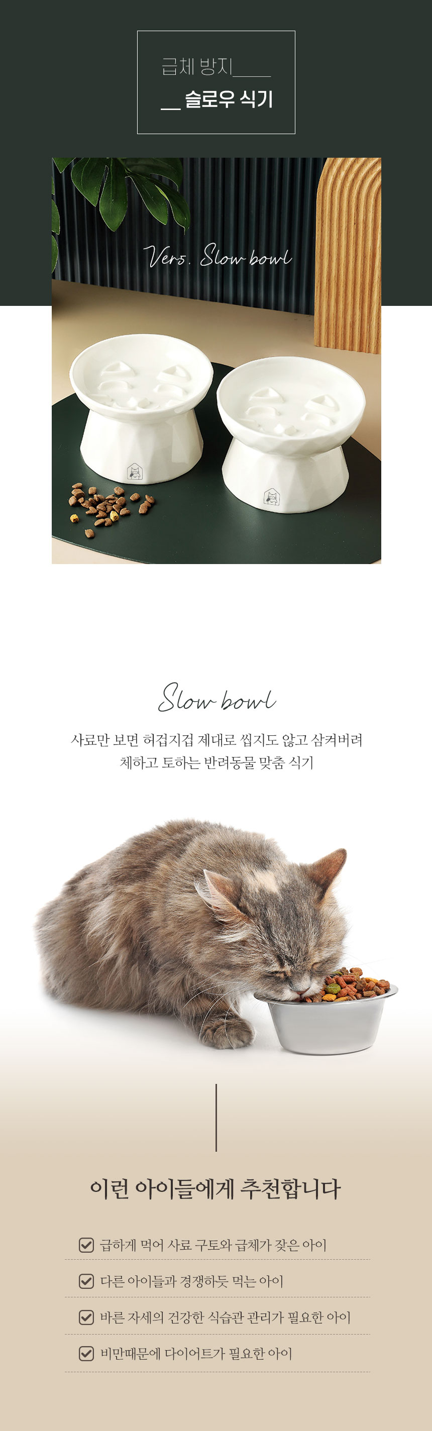 멍냥이랑 슬로우 세라믹식기 1번째