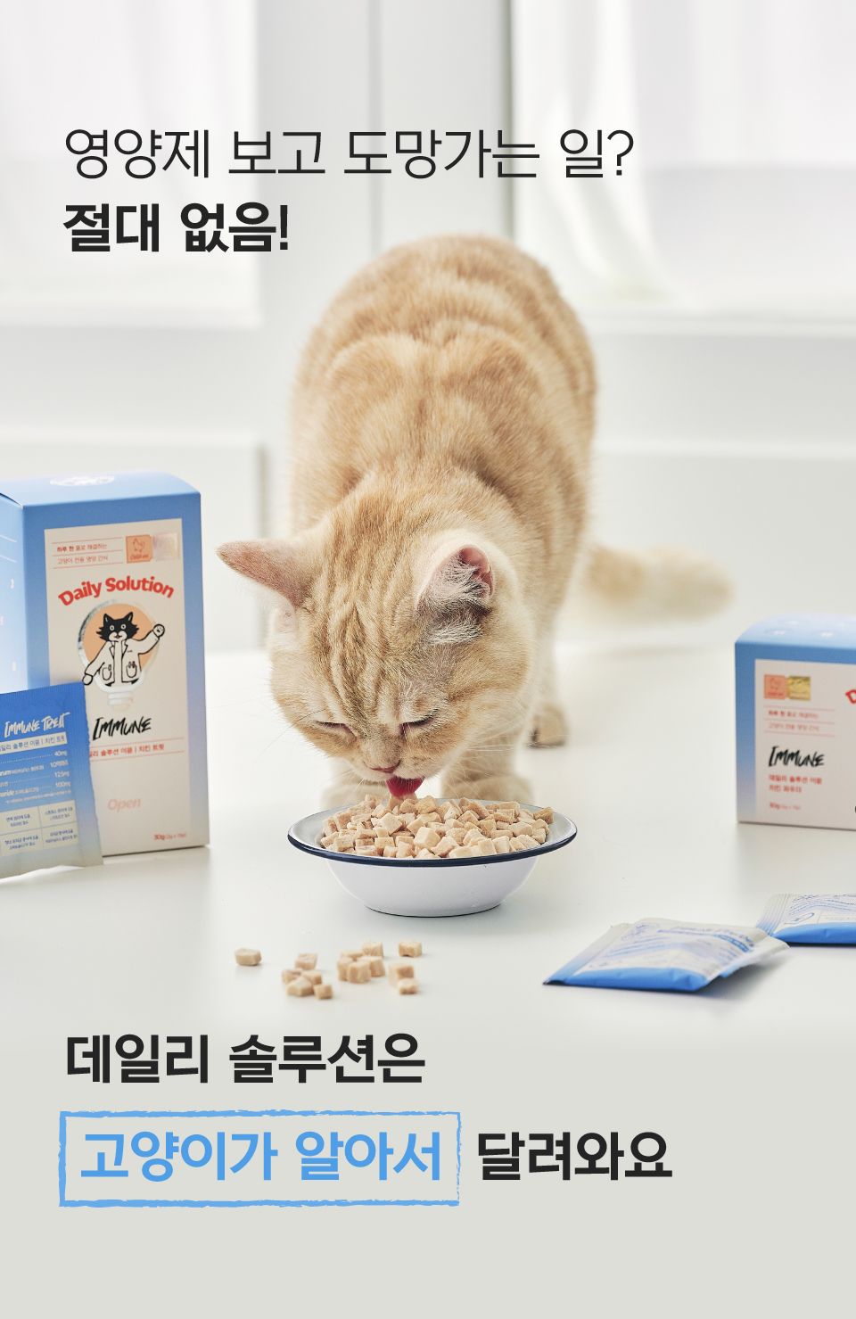 [브랜드전]닥터펠리스 데일리솔루션 이뮨 트릿 영양제 30g 12번째