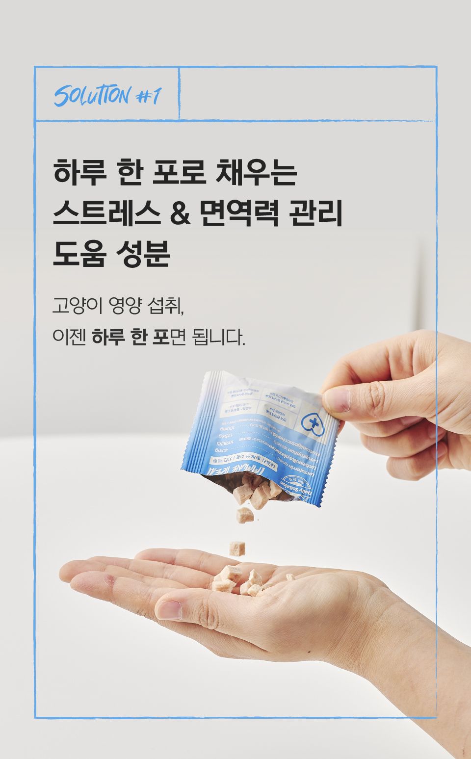 닥터펠리스 캣 데일리솔루션 이뮨 트릿 영양제 30g 15번째