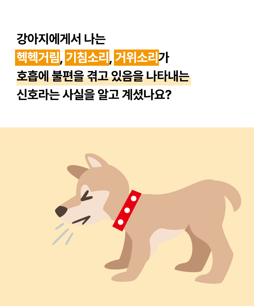 닥터포도그 기관지영양제 브레스케어 2g X 30ea 3번째