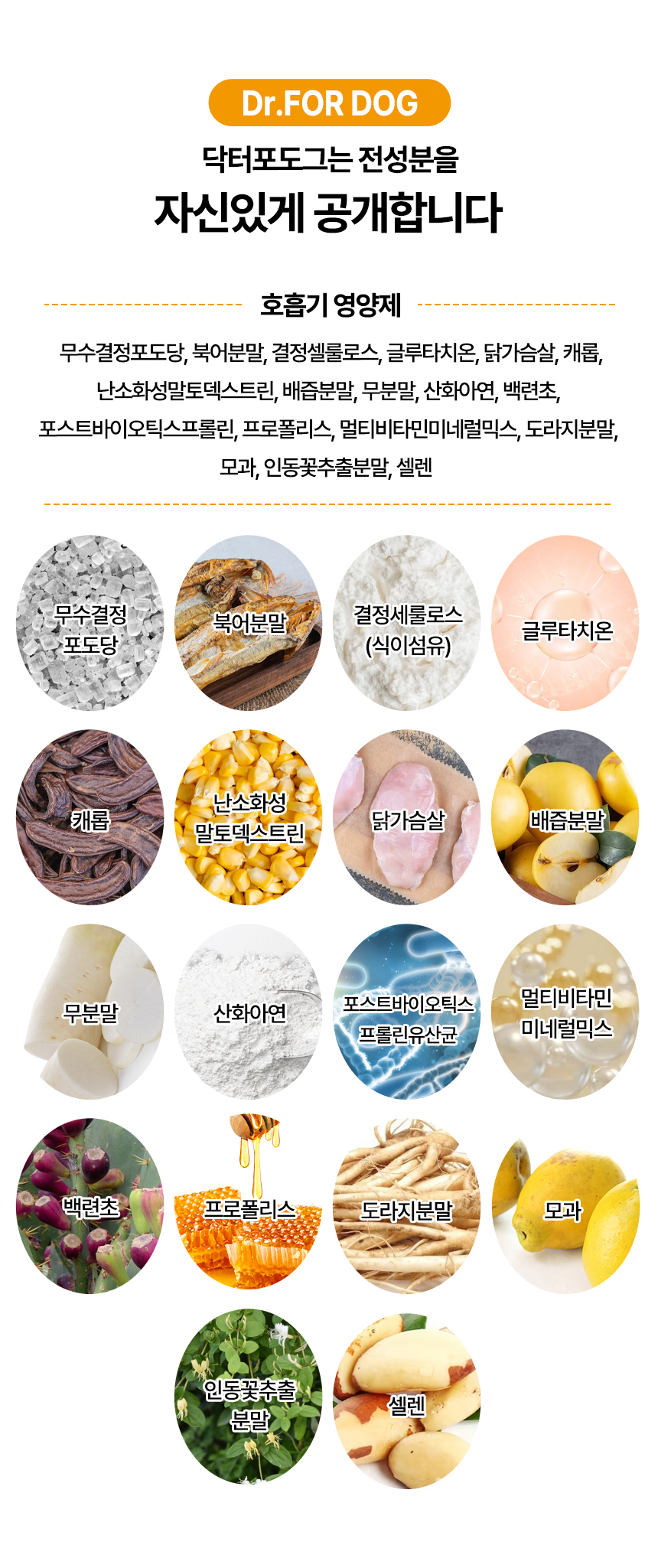 닥터포도그 기관지영양제 브레스케어 2g X 30ea 19번째