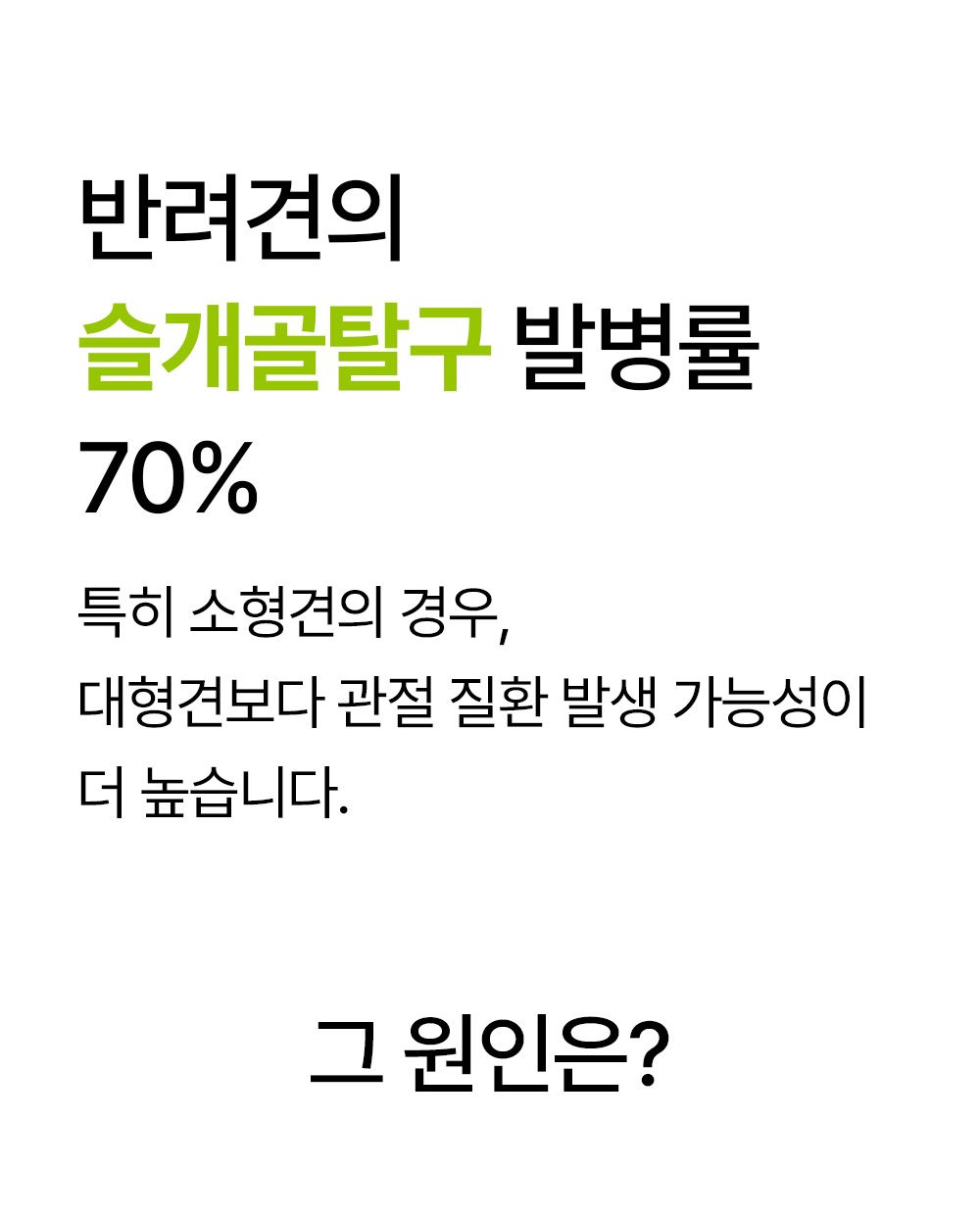 [NEW신상]더헬씨 강아지 영양제 코어 관절 100g 3번째