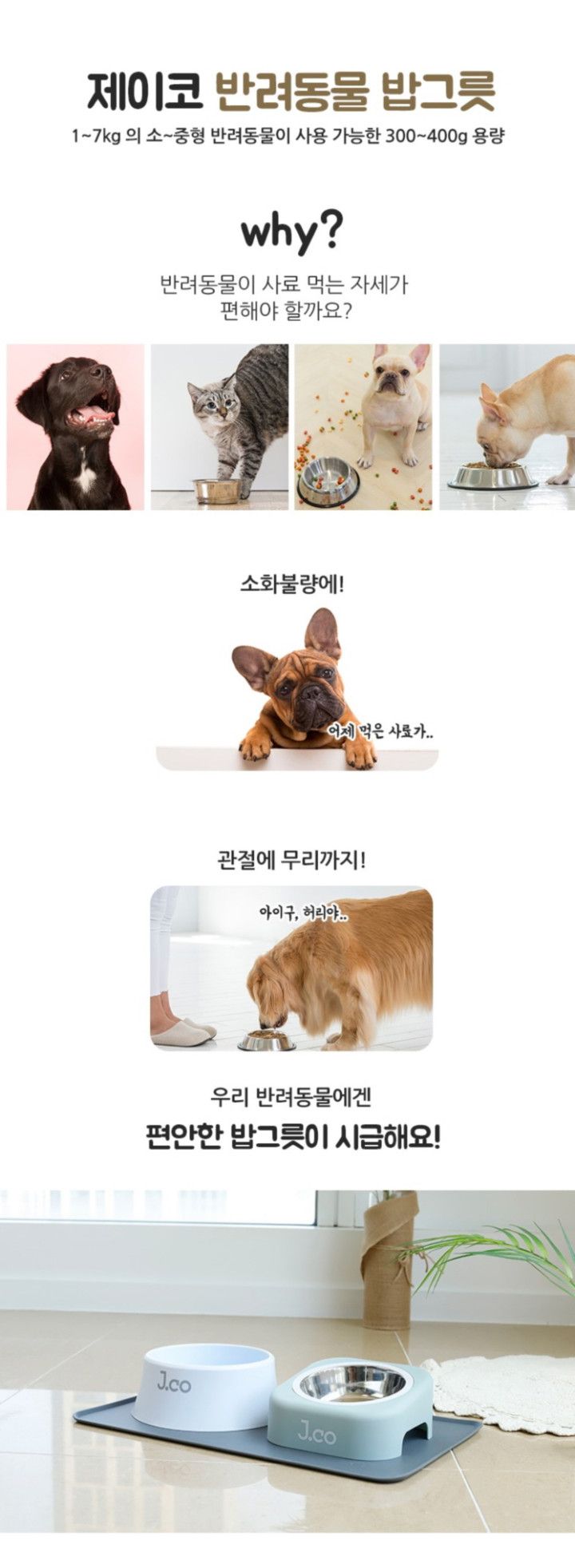 [무료배송] 제이코 스테인레스 식기 그린 2번째