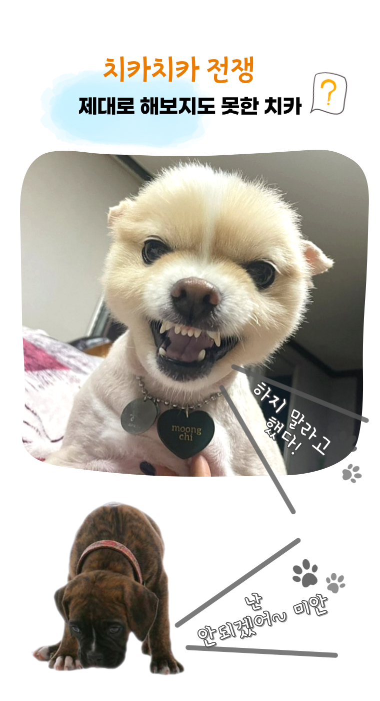 [체험단] [무료배송] 무지조타 냄새쓱싹 No.5 뿌리는 치약 구강 스프레이 6번째