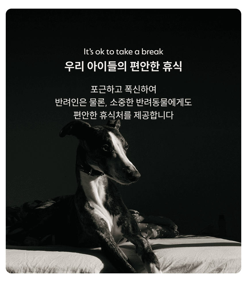[NEW신상][무료배송] 체고케어 디아망 플레인더스크 방수 러그 타원형 대형 제작 거실카페트 고양이러그 22번째