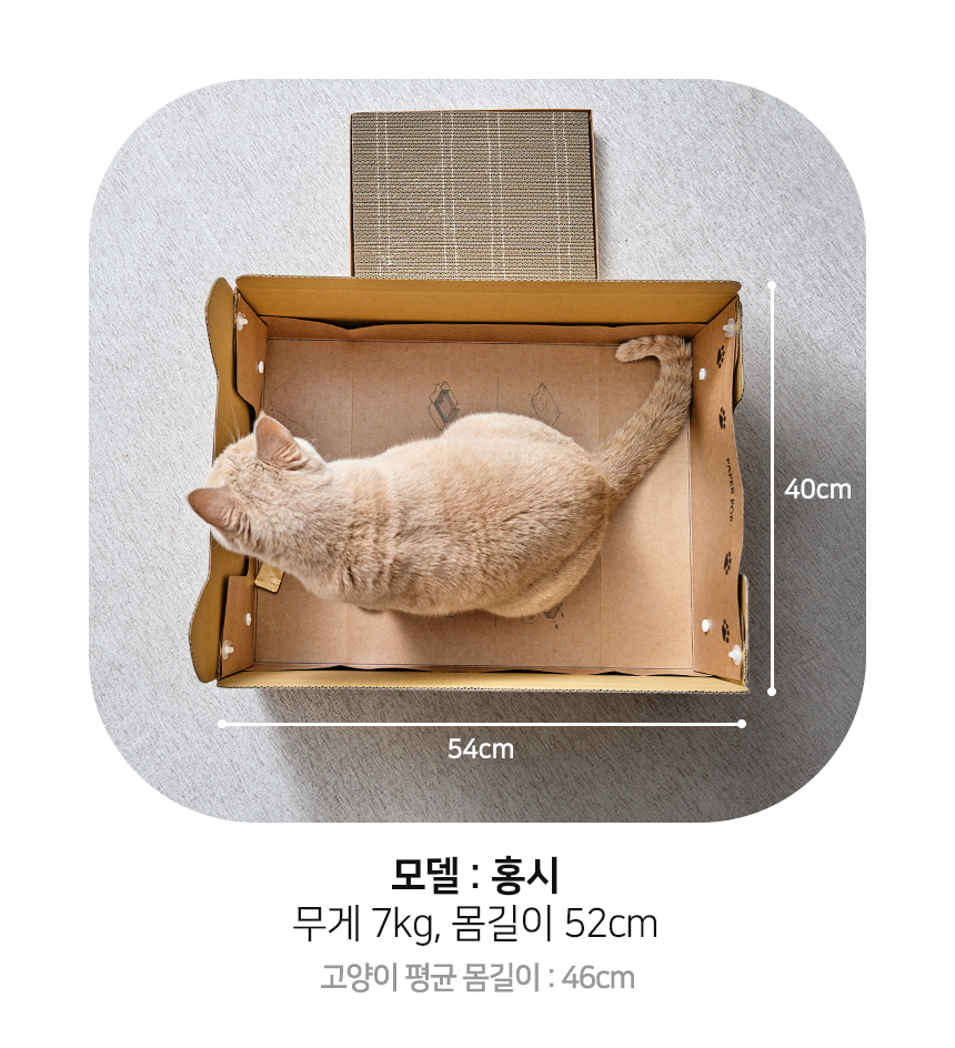 [NEW신상][무료배송] 페이퍼팝 캣 탈부착 속패드 종이로 만든 고양이 화장실 14번째