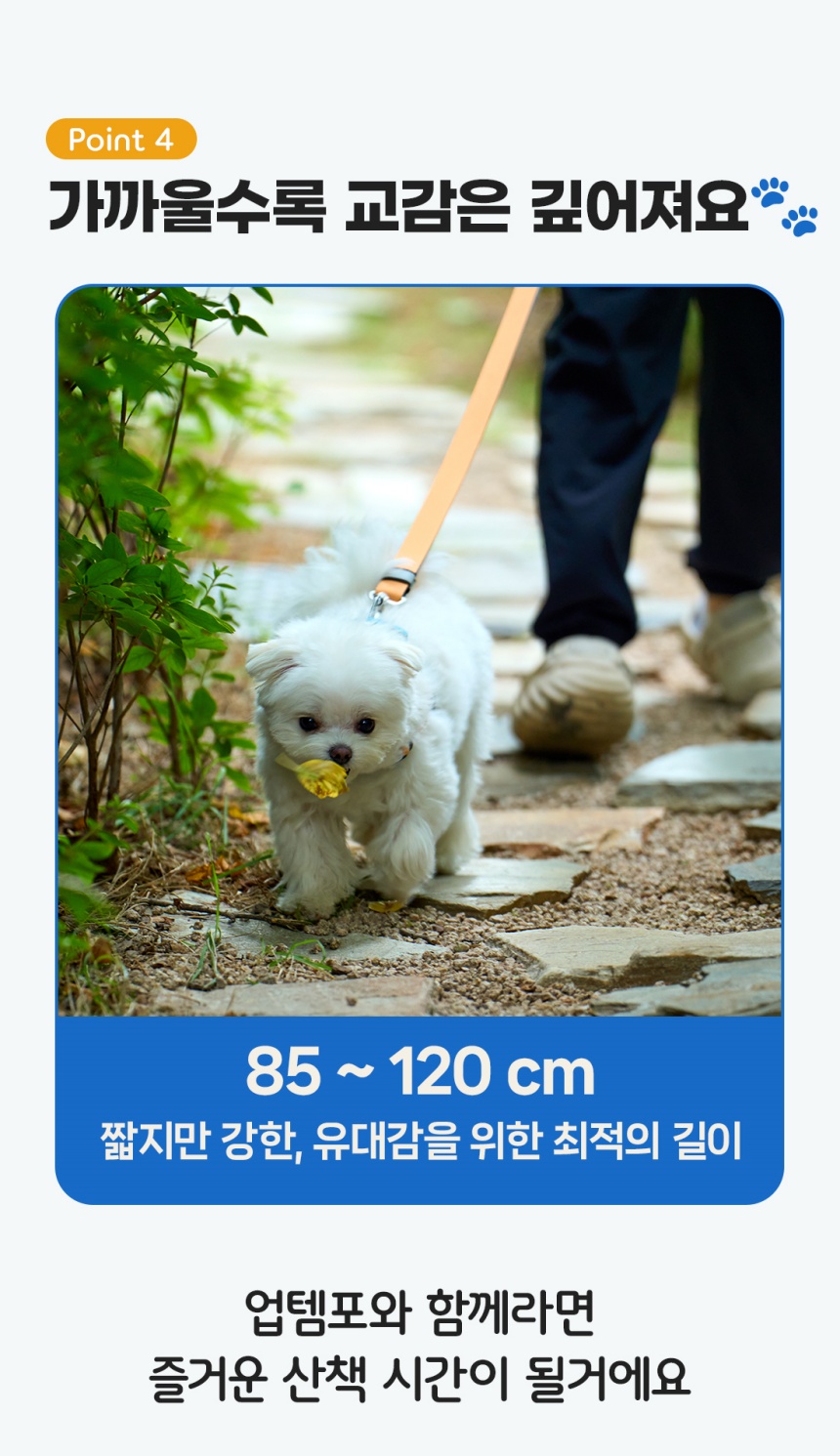 [NEW신상][무료배송] 젠틀우프 업템포 숏 리드줄 길이 조절용(4color) 6번째