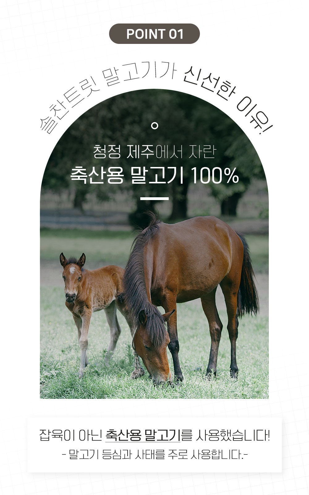 [무료배송] 온날 솔찬트릿 동결건조 말고기 90g 4번째