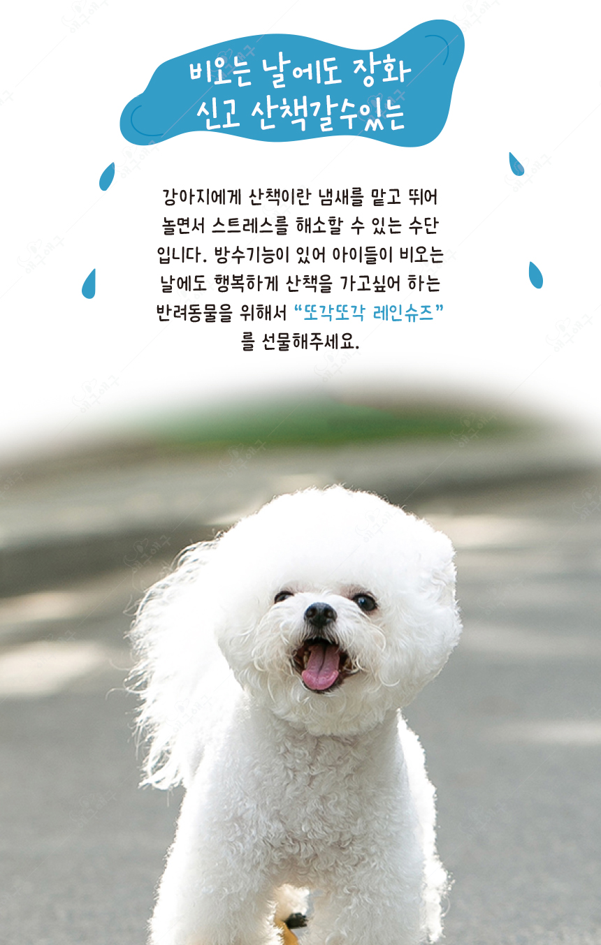 [무료배송] 애구애구 산책 신발 또각 레인부츠 베이지/민트/옐로우 S-L 20번째