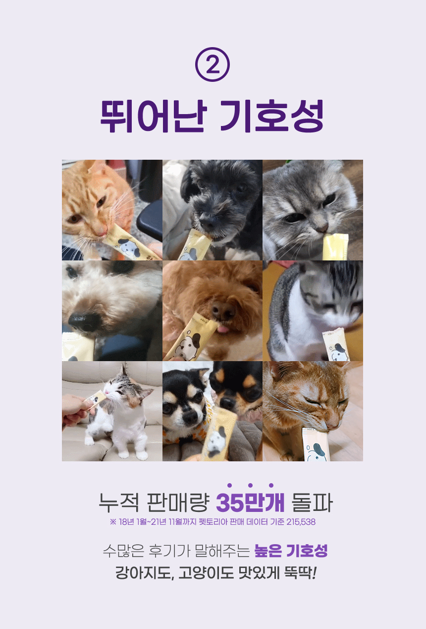[NEW신상][무료배송] 펫토리아 고양이 짜먹는 한입뚝딱 대용량 70p 3종 14번째