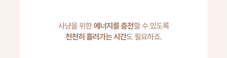 [NEW신상][무료배송] 두잇 키티시네마 캣플릭스 무드등 14번째