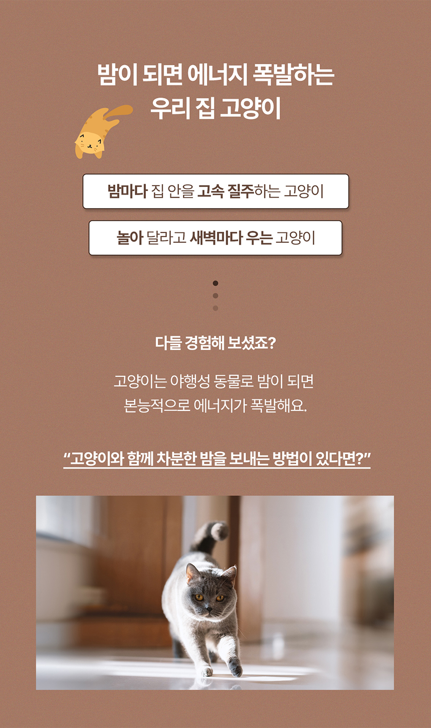 [NEW신상][무료배송] 두잇 키티시네마 캣플릭스 무드등 3번째