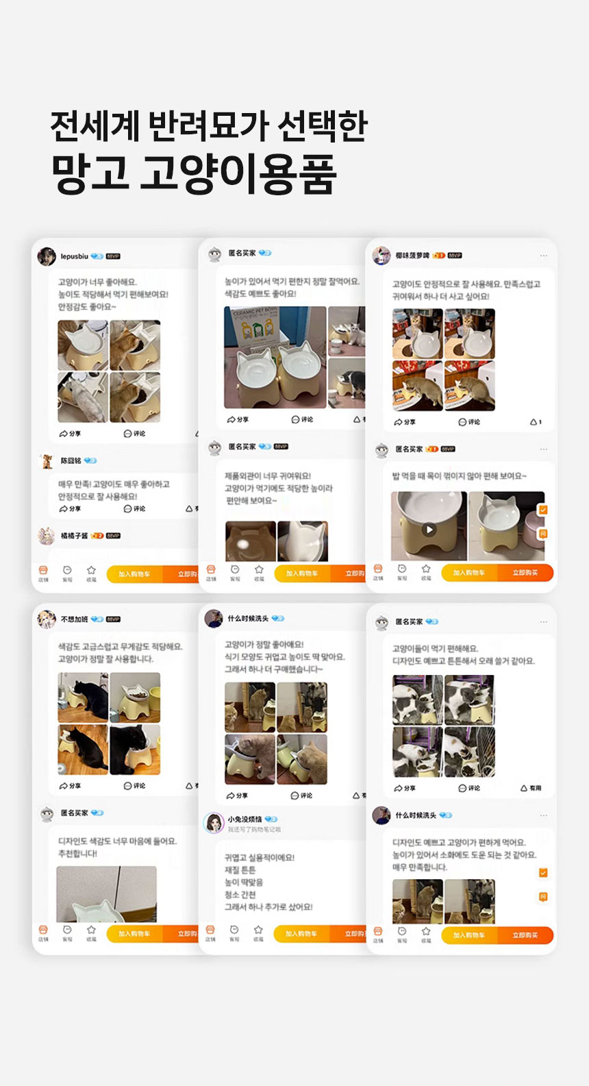 [신상특가] [무료배송] 망고 반려동물 결합가능 세라믹 식기 1구 5번째