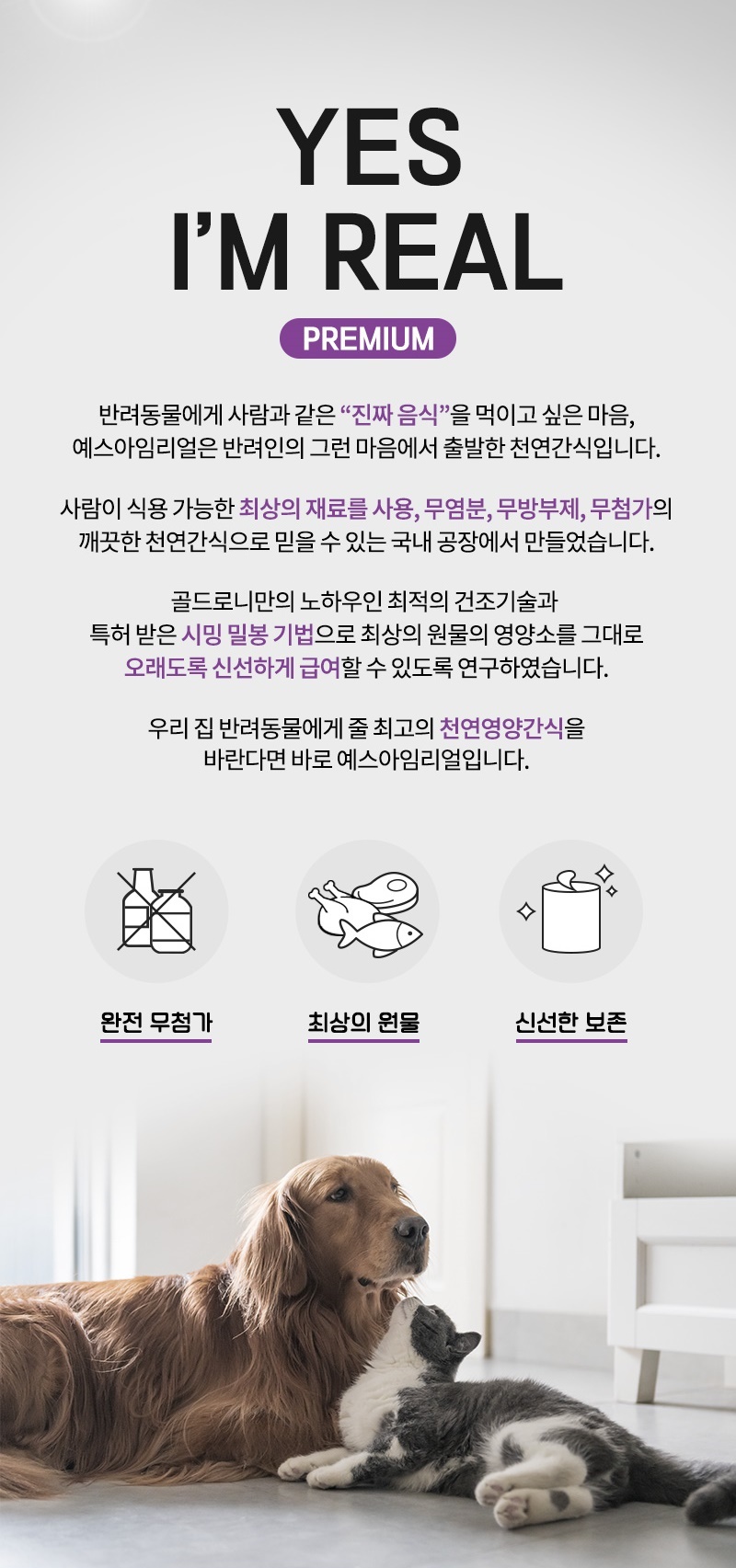 [무료배송] [추가증정] 골드로니 예스아임리얼 生 알래스카 연어 트릿 70g + 순살스틱 2p 증정 2번째