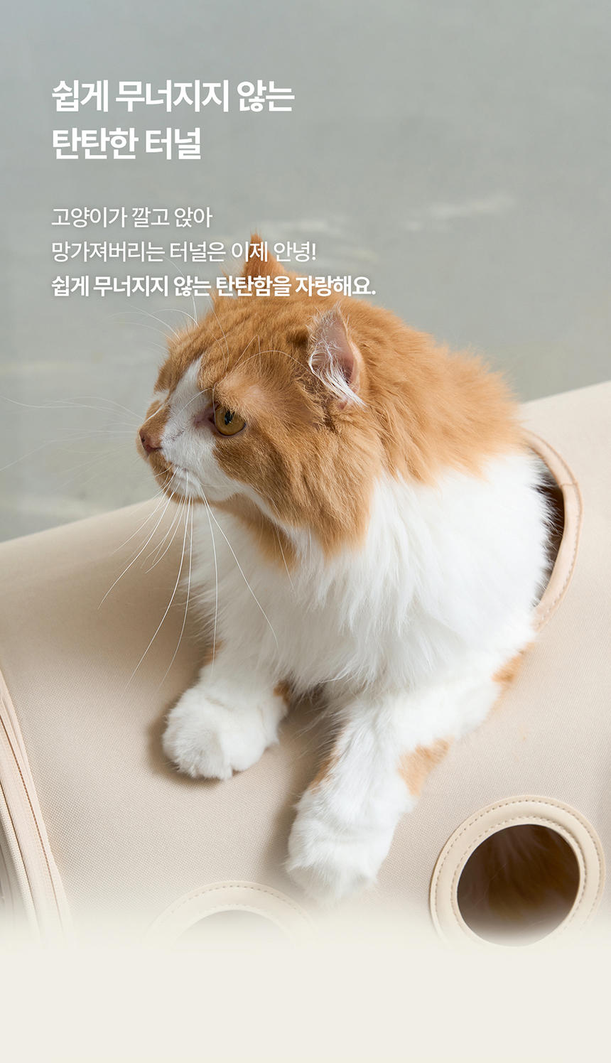 두잇 트레인 익스프레스 DTX 고양이 터널 세트 18번째