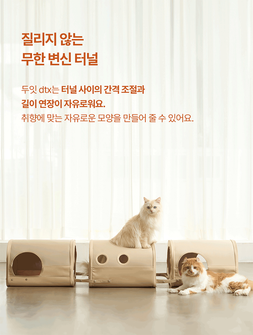 두잇 트레인 익스프레스 DTX 고양이 터널 세트 7번째