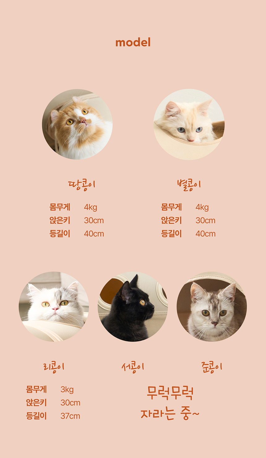 두잇 트레인 익스프레스 DTX 고양이 터널 세트 32번째