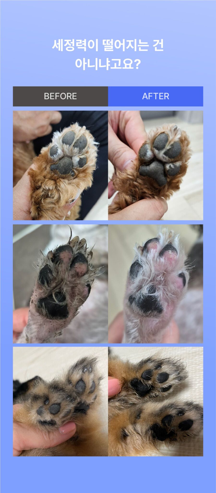 [NEW신상]완스파파 순비누 강아지 발세정제 15번째