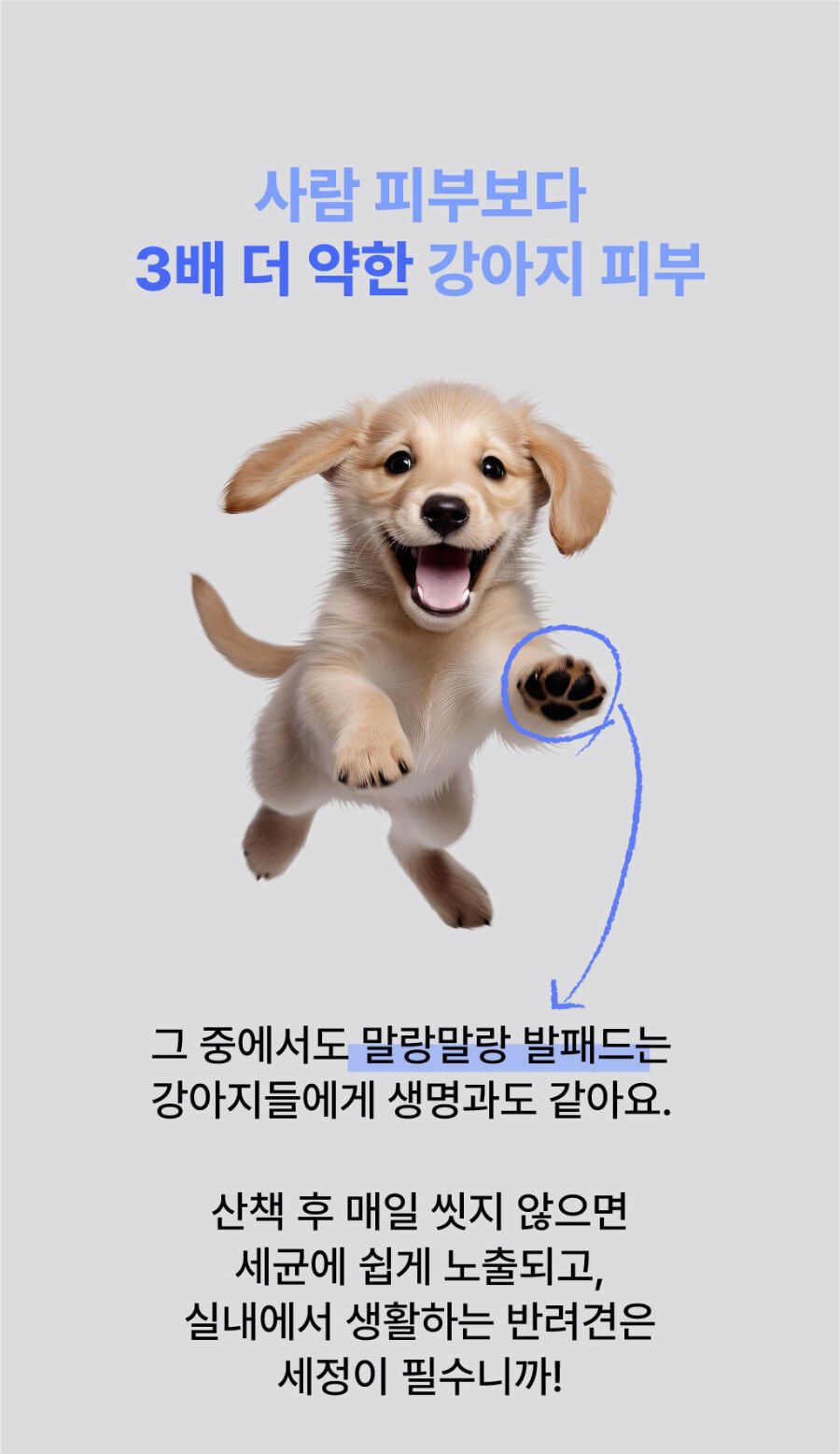 [NEW신상]완스파파 순비누 강아지 발세정제 11번째