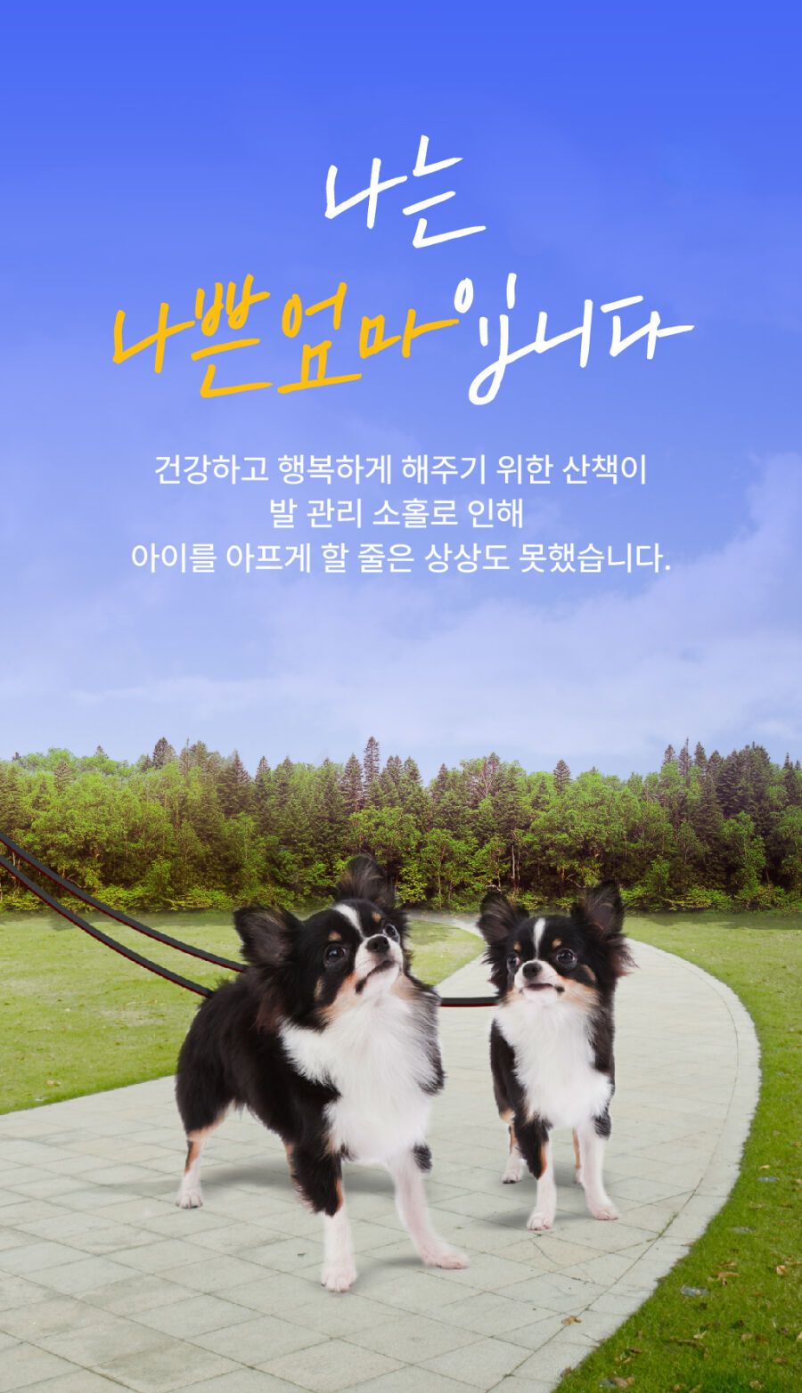[NEW신상]완스파파 순비누 강아지 발세정제 1번째