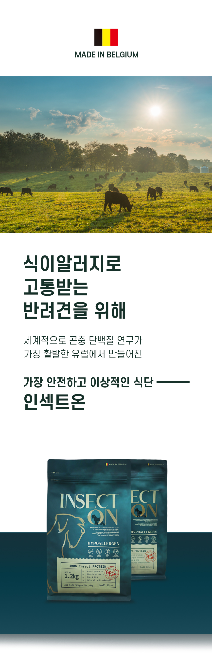 [무료배송] 아이누 독 인섹트온 1.2kg 6번째