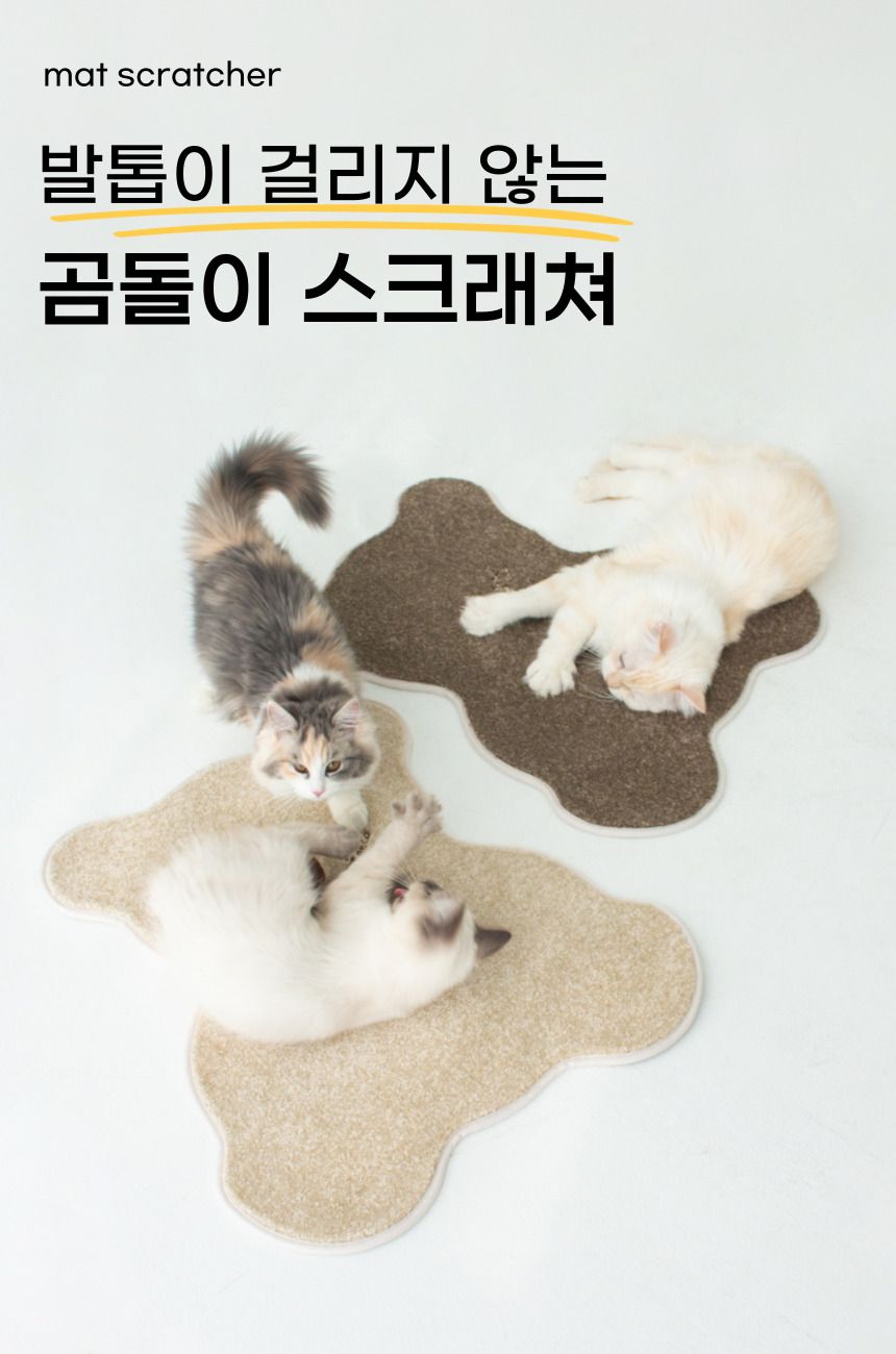 [무료배송] 베베네코 곰돌이 스크래쳐 아이보리/초코 5번째
