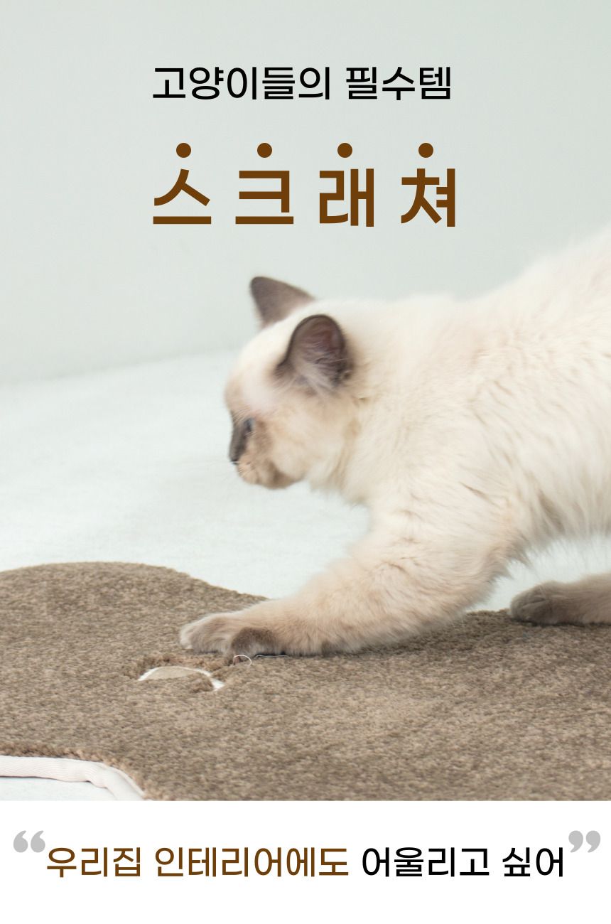 [무료배송] 베베네코 곰돌이 스크래쳐 아이보리/초코 2번째
