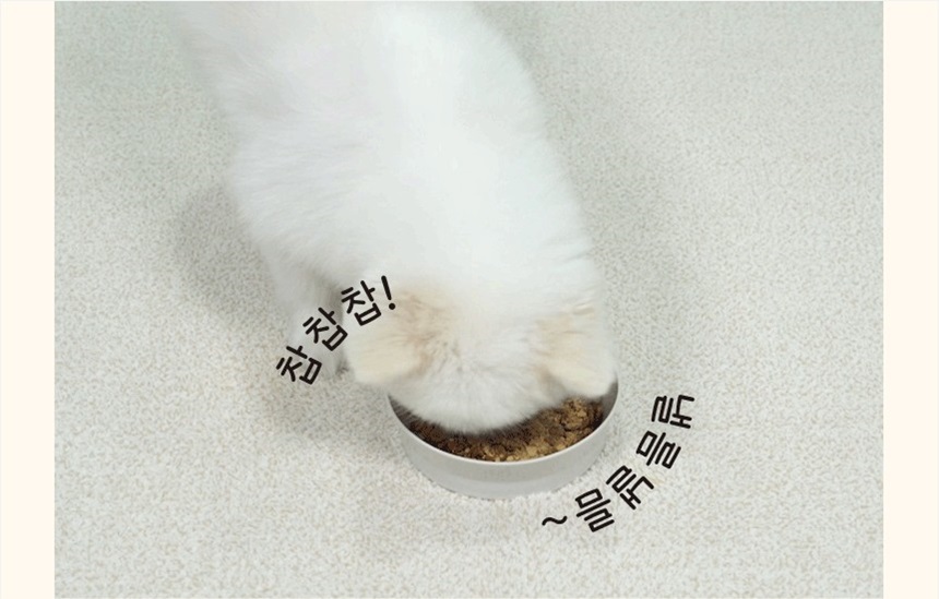 [무료배송] 코코다움 독 소화 영양 다시 냠냠 파우더 2g*30p  6번째